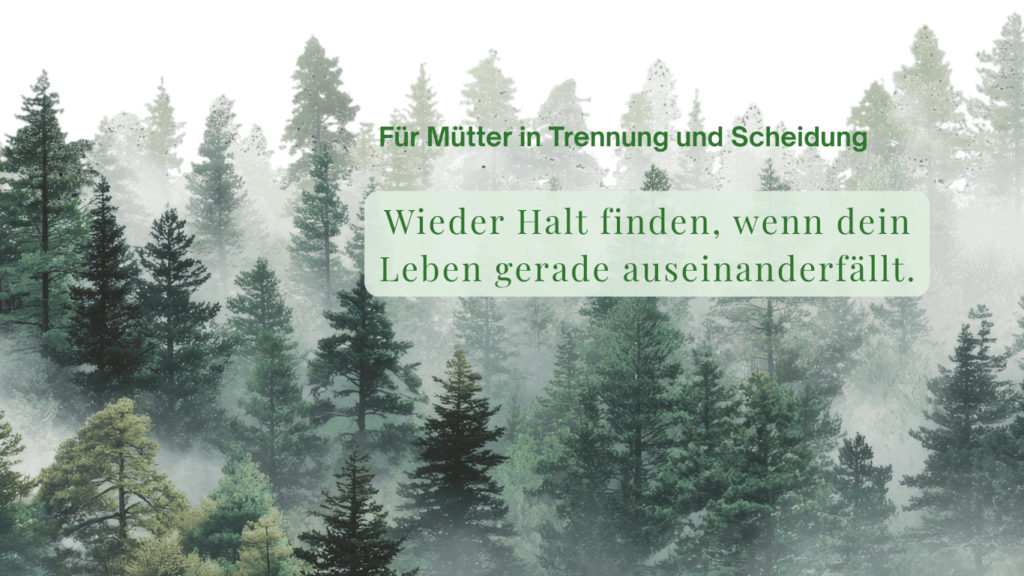 260813header (website) 260813header (website)